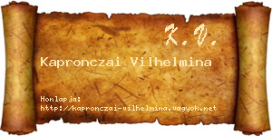 Kapronczai Vilhelmina névjegykártya
